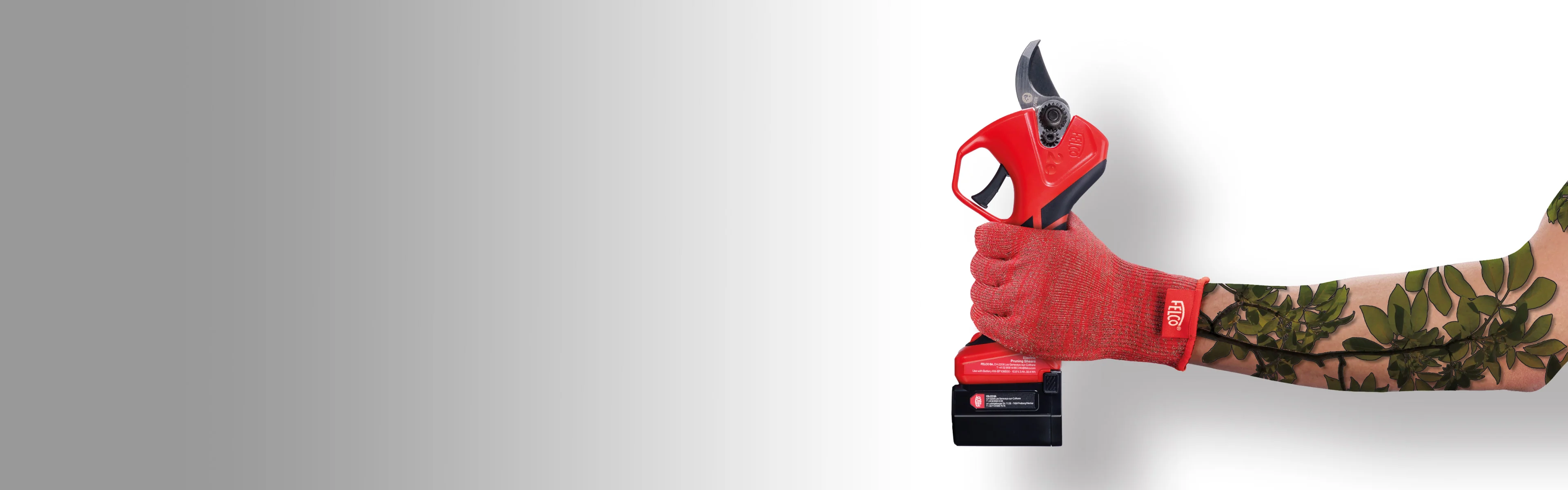 Swiss Precision for Every Cut