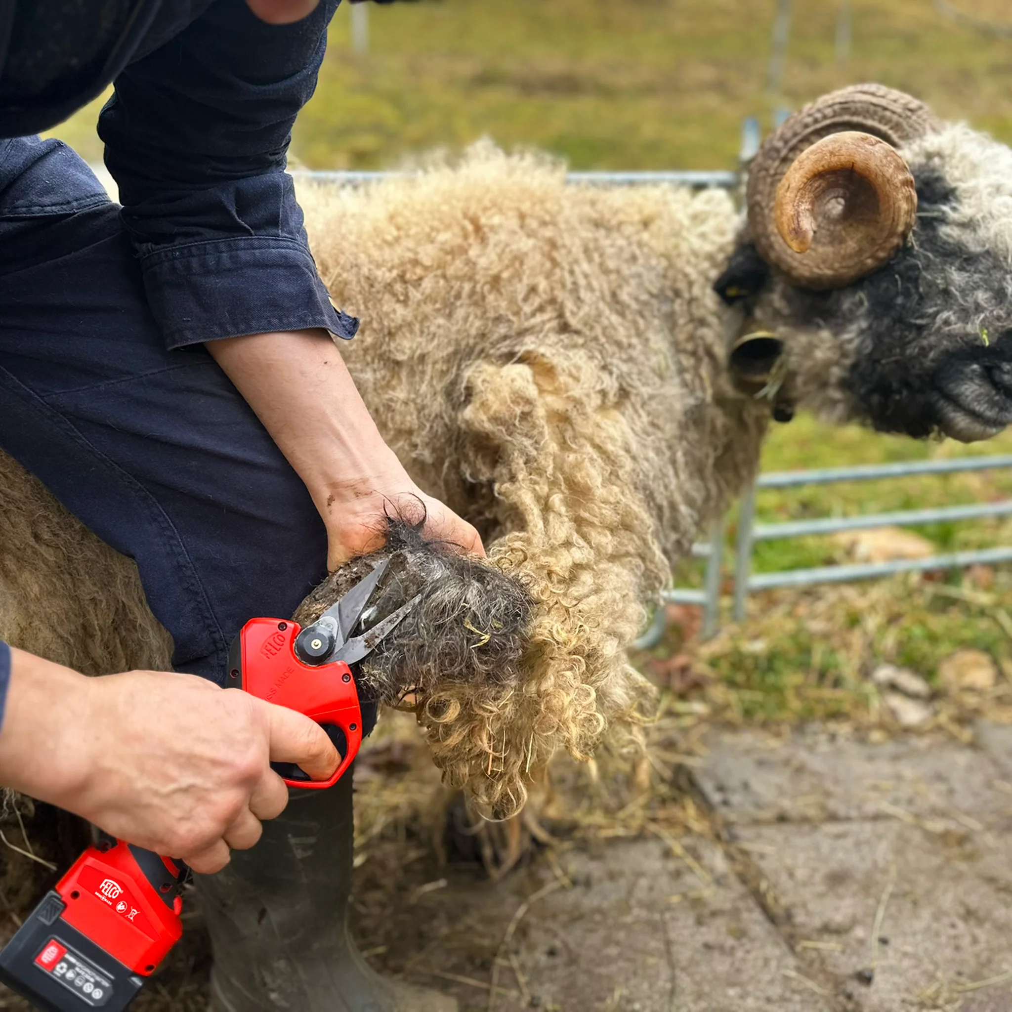 FELCO 834H - Image 3