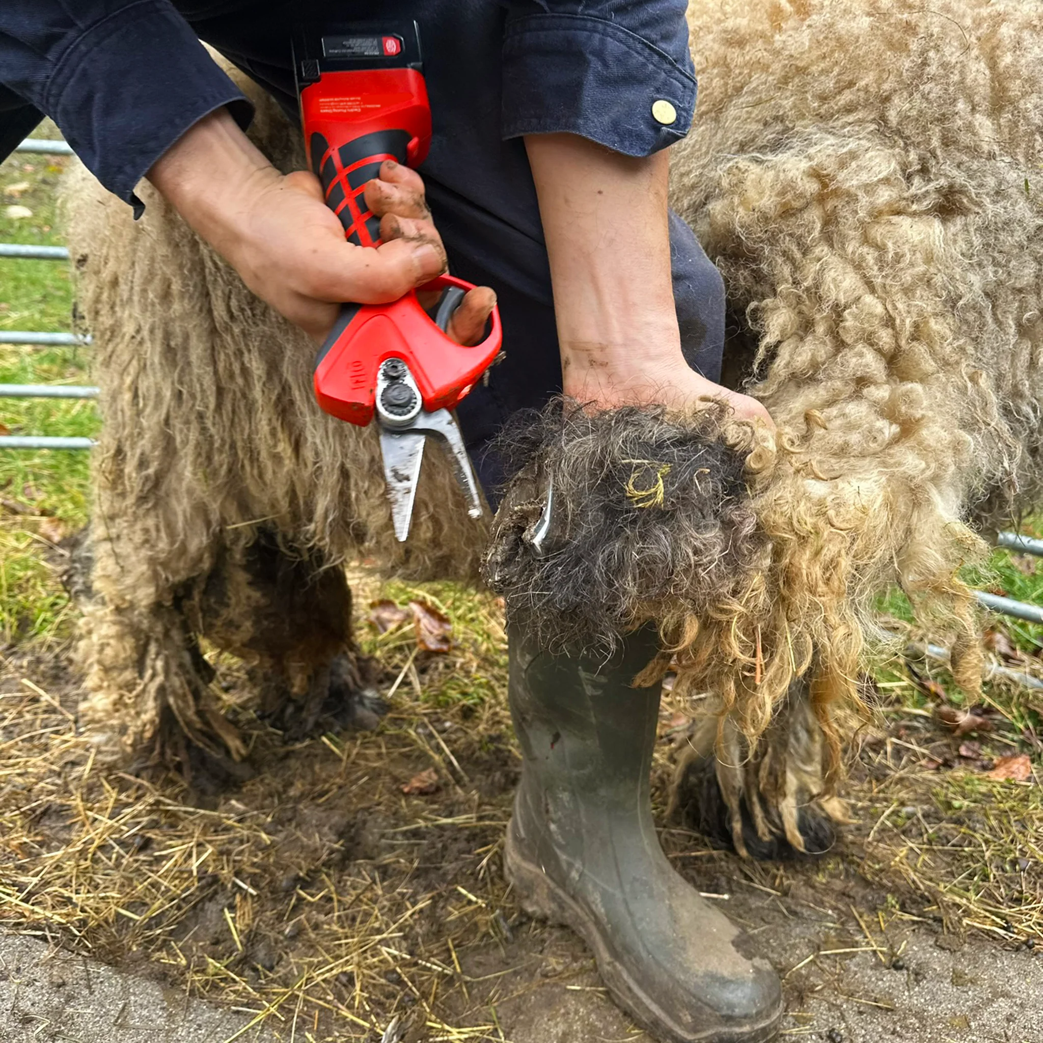 FELCO 834H - Image 4